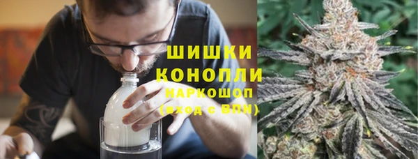 стафф Алексин