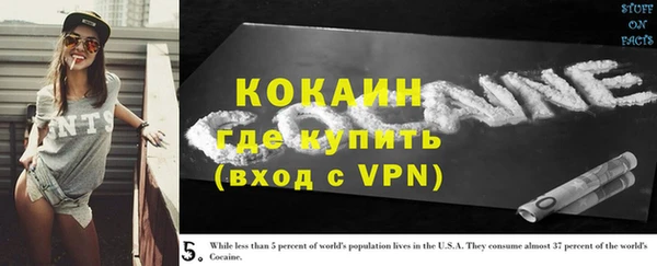 соль ск Алзамай