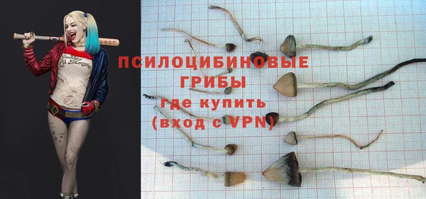 бутират Алексеевка