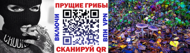 Галлюциногенные грибы MAGIC MUSHROOMS Кизел